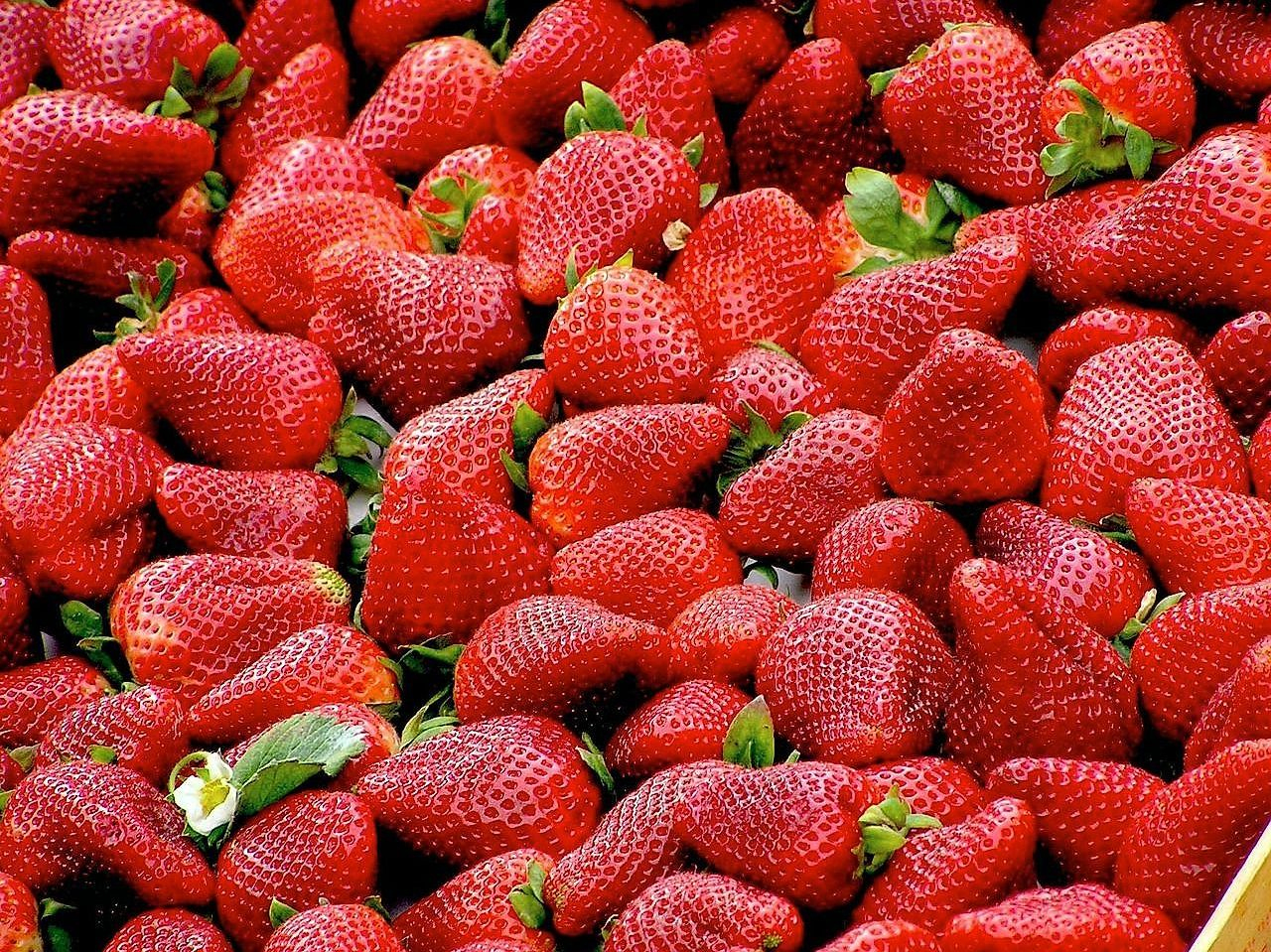 Snacks saludables frescos